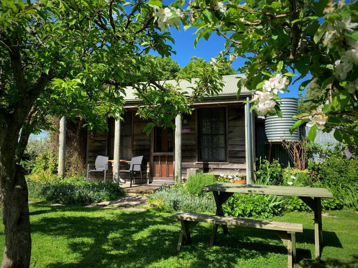 Cherry Plum Cottages Port Fairy Exterior photo
